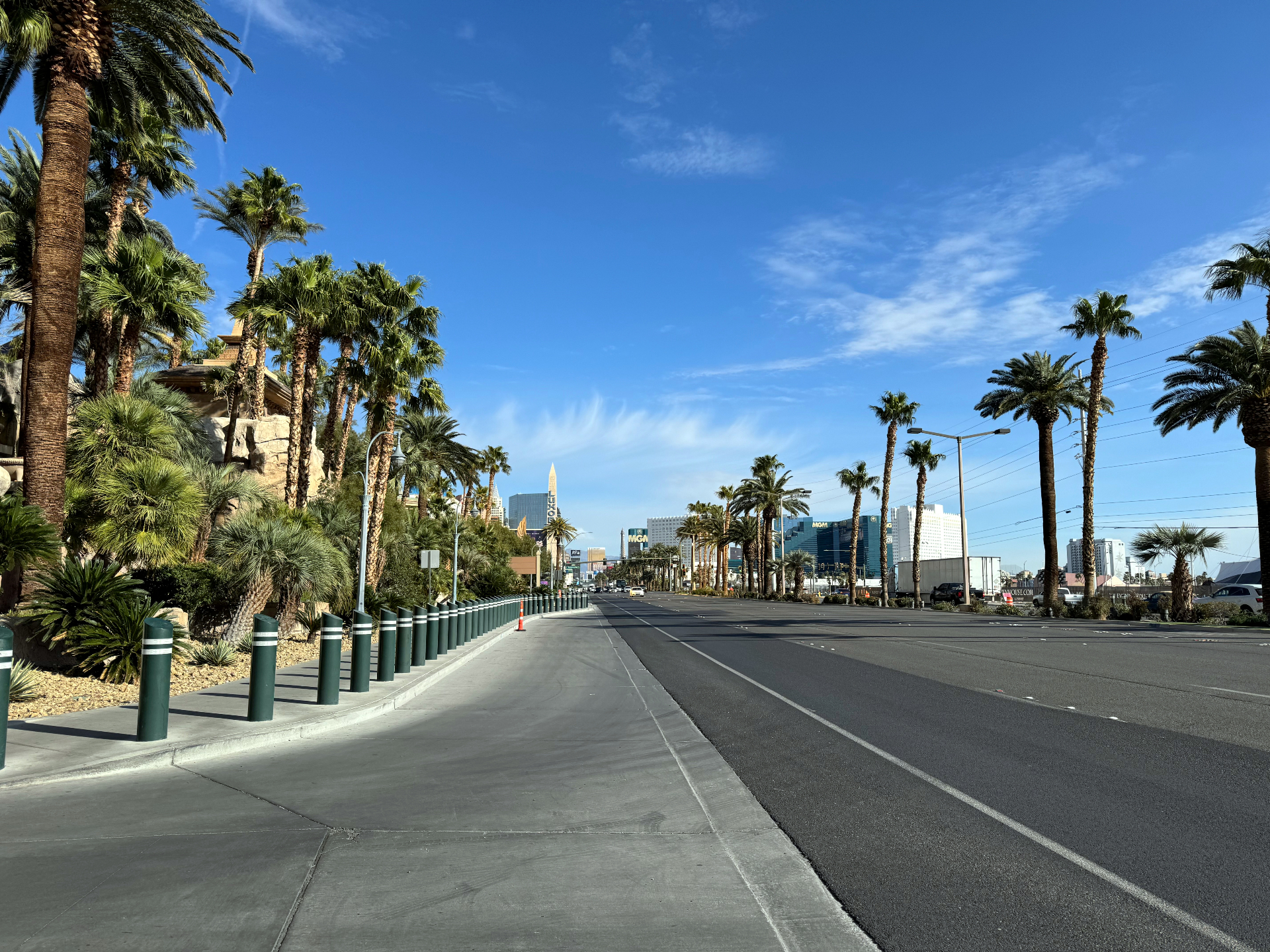 Government & Municipality