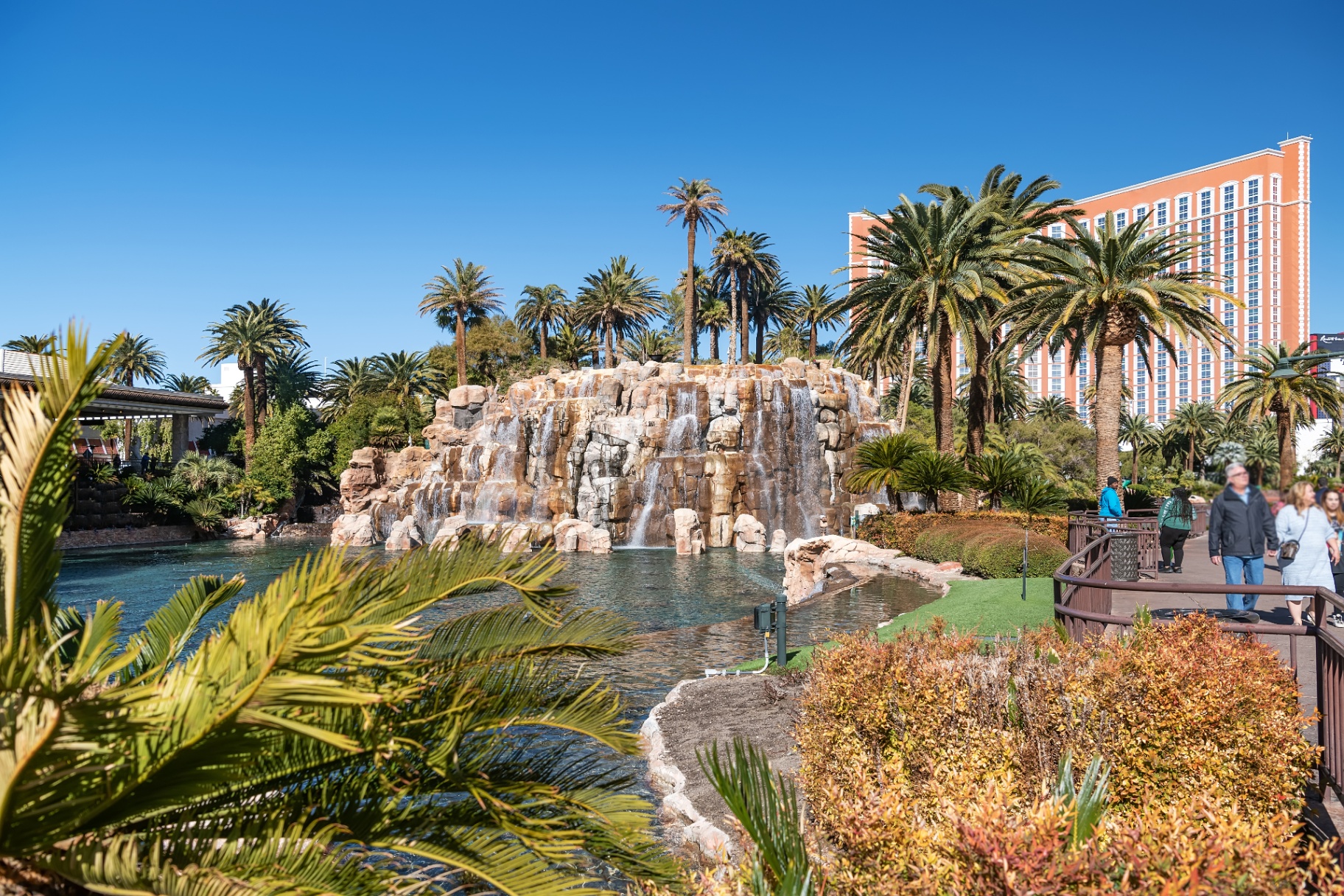 HOA & Property Management