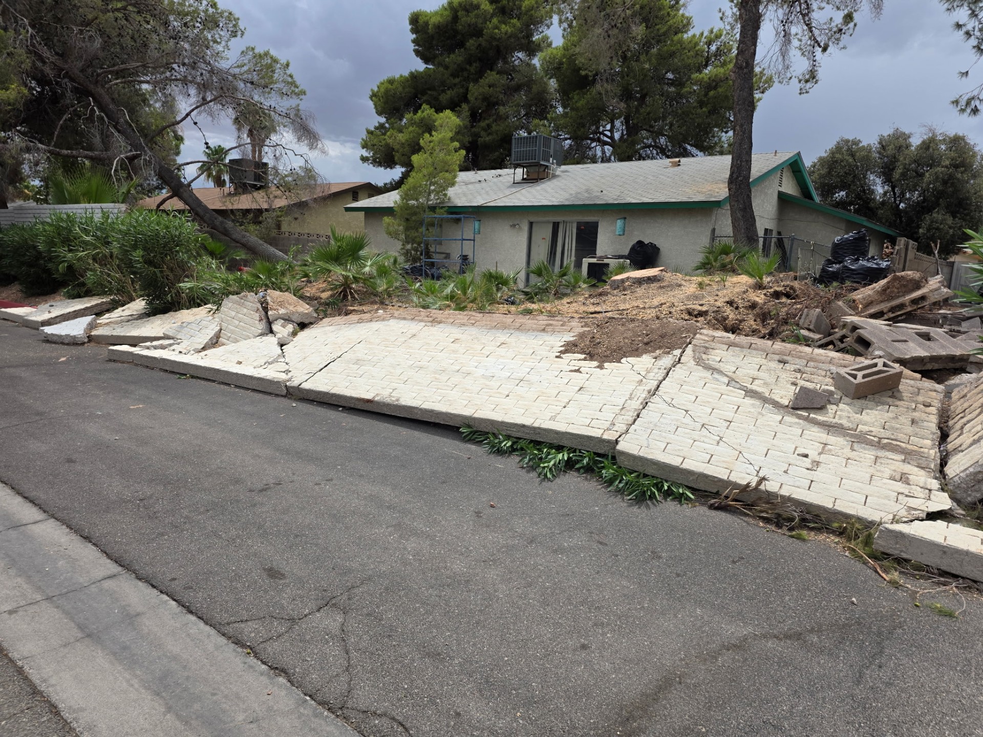 Emergency tree cleanup after Las Vegas storm damage